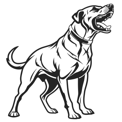 Imagen PNG para descargar